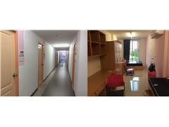 ѧԺ2013����ó������רҵѧ��˳����̩��������ѧѧϰ